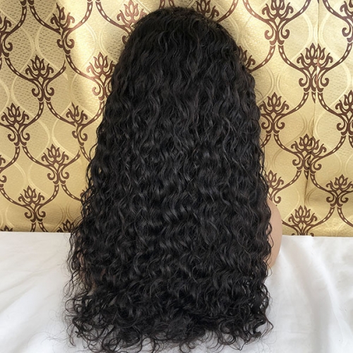 13x6 HD Lace Frontal Human Hair Wigs Water Wave Sidary Hair HD Lace Wigs 180%Density