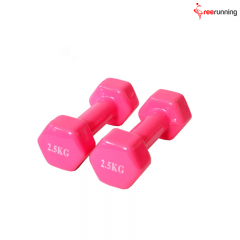 Hex Vinyl Dumbbell