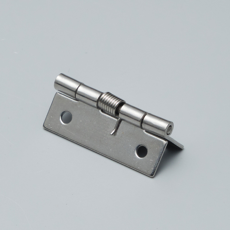 Stainless Steel Door Spring Loaded Hinges