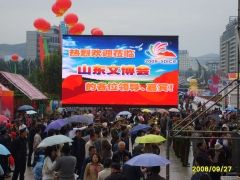 P10 outdoor LED display