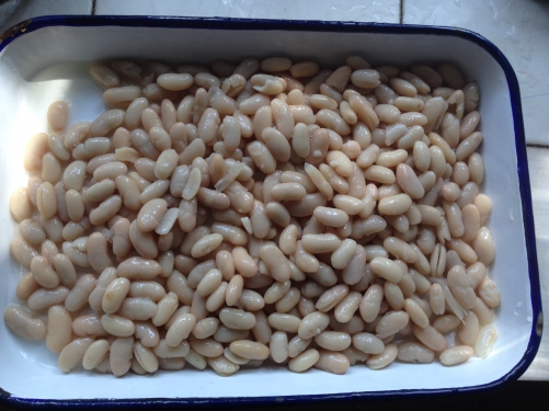 Canned White Kidney Beans in Brine