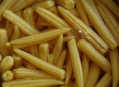 Canned Baby Corn Whole