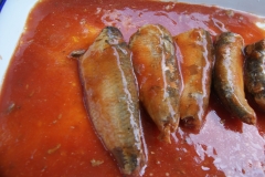 Canned Sardine in tomato sauce