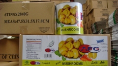 Canned Champignon Mushrooms Pieces & Stems
