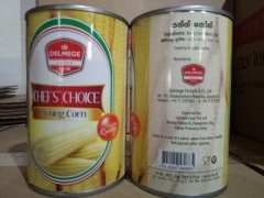 Canned Baby Corn Whole
