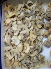 50kgs Drumed Mushroom in Brine