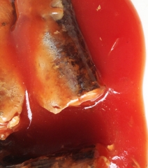 Canned mackerel in tomato sauce/in brine/in oil