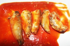 Canned sardines fish