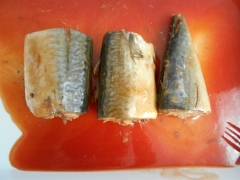 Canned seafood sardine mackerel tall can oval can