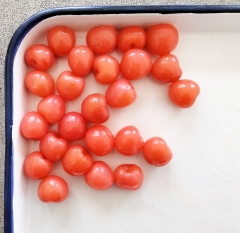 Canned red cherry