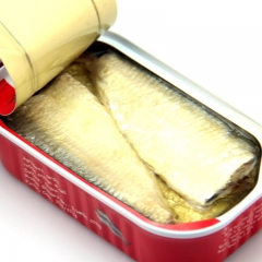 Canned sardines fish