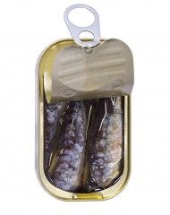 Canned sardines fish