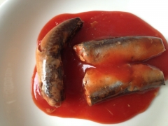 Canned mackerel in tomato sauce/in brine/in oil