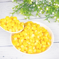 canned sweet corn with spoon & cover