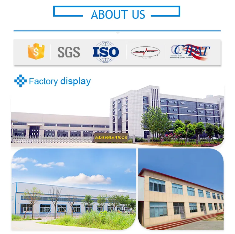 Shandong Bochuang factory display