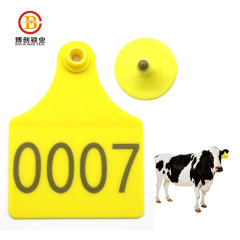 Tamper proof livestock blank cattle ear tags