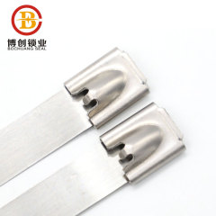 BCST002 heavy duty stainless steel zip ties