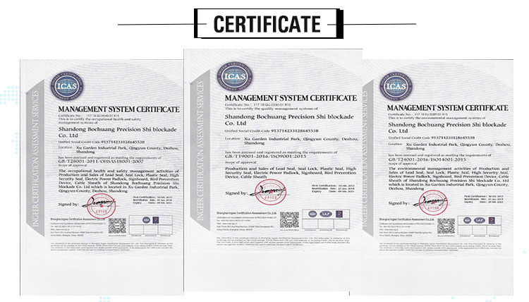 BC-P701 Numbered one time use plastic strap seals