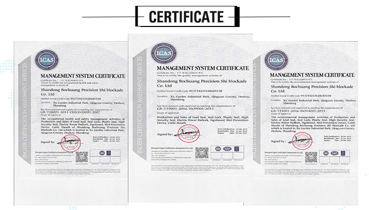 BC-C402 tamper proof cable seal price for transport