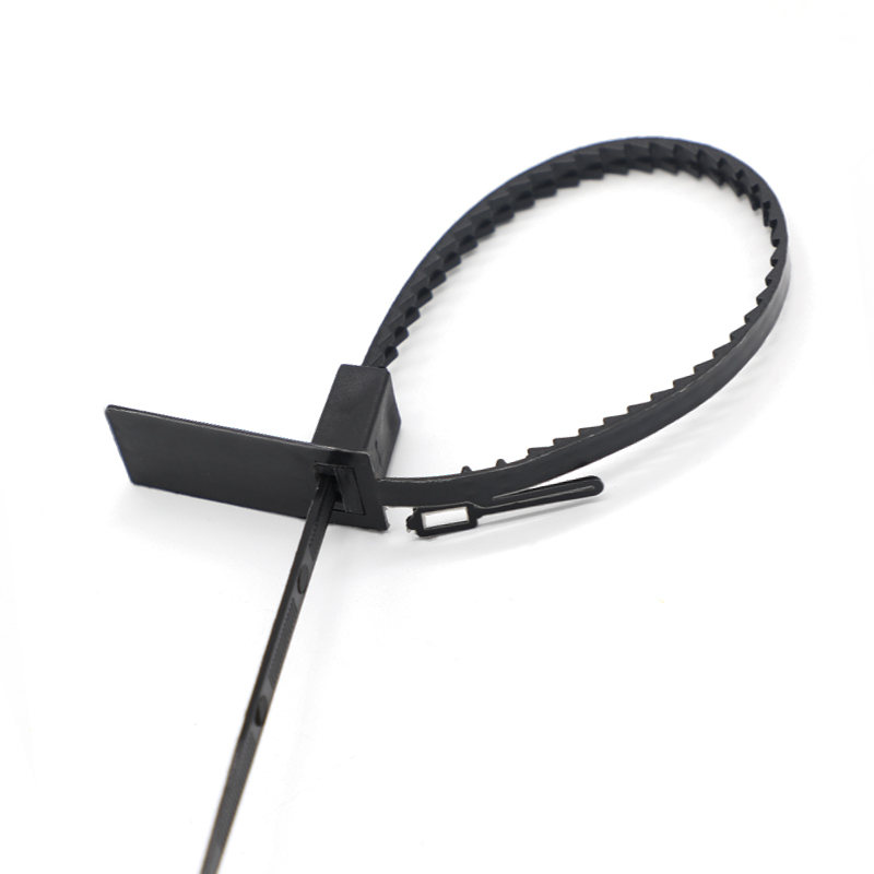 BCPS432 strap container plastic security seals