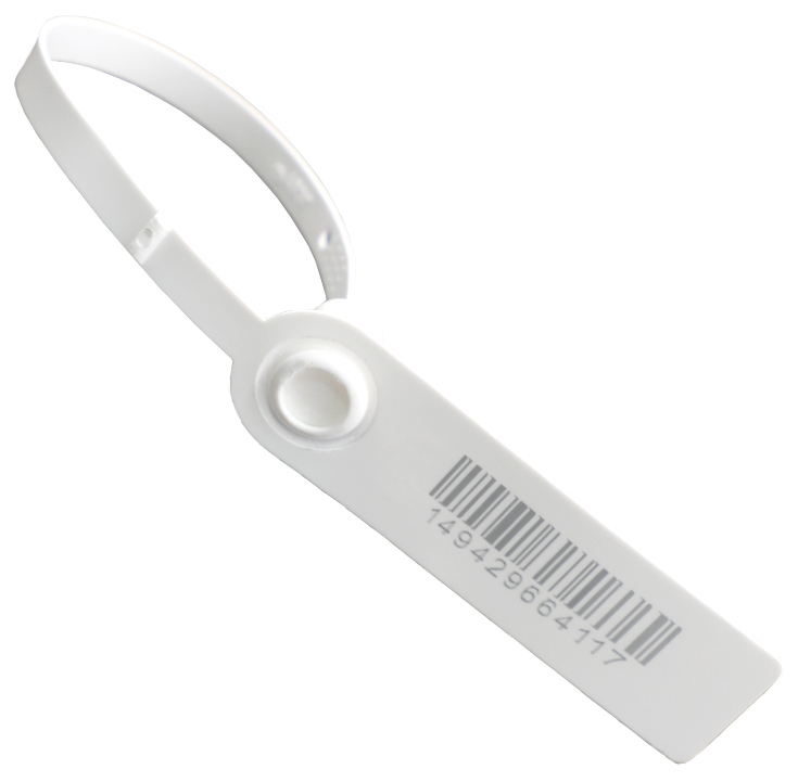BCPS434 Tamper evident seal plastic security seal