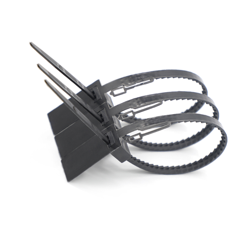 BCPS432 strap container plastic security seals
