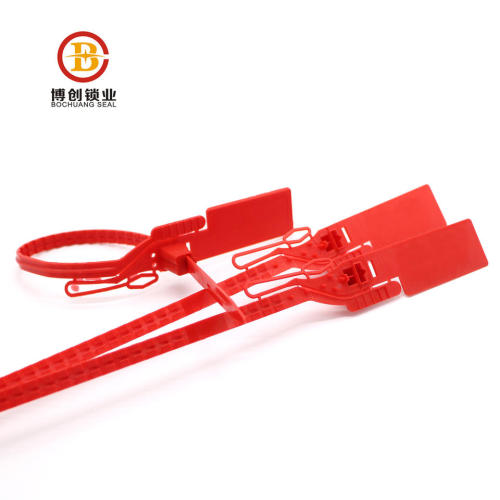 BCP205 Disposable plastic seal is tensioned