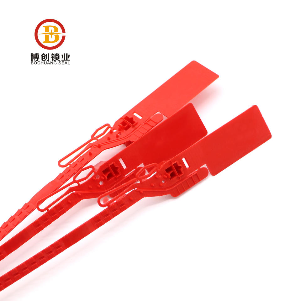 BCP205 Disposable plastic seal is tensioned