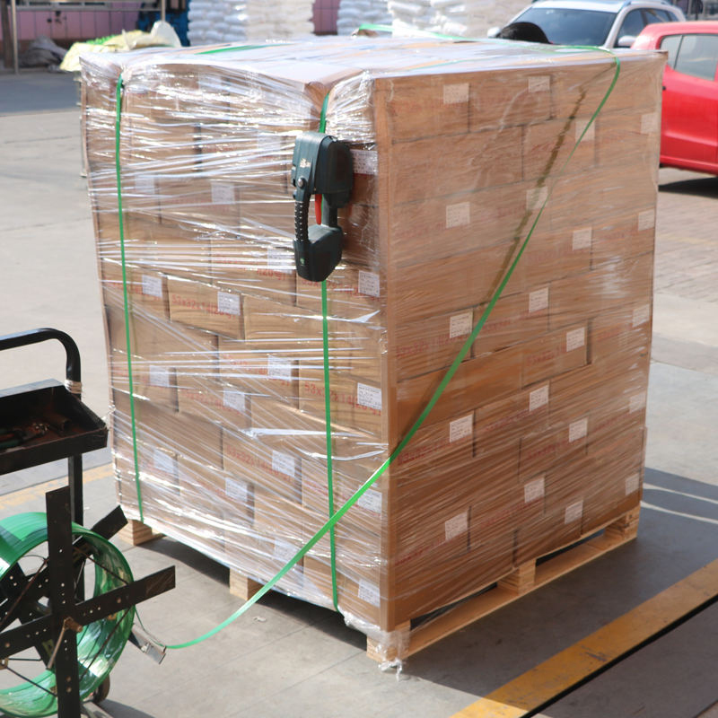 Plastiksicherheitsvorhängeschloss für Gepäckbox