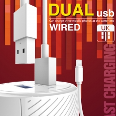 Wire UK Plug Home Charger 2.4A Output Dual Port Wall Charger For iPhone