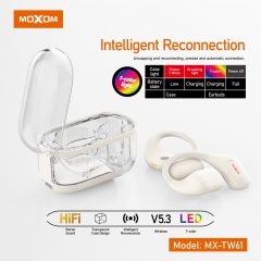 Transparent Case OWS Wireless Earbuds