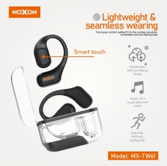 Transparent Case OWS Wireless Earbuds