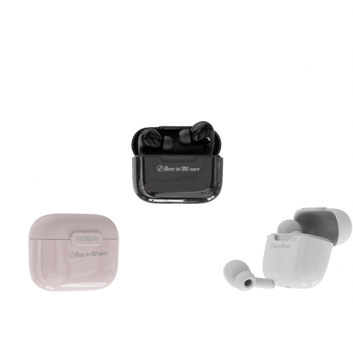 TWS Wireless Earbuds