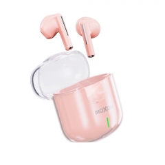 Snowflake Transparent TWS Wireless Earbuds