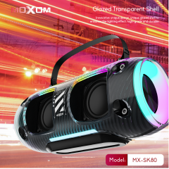 30W High Power Transparent Wireless RGB Karaoke Speaker