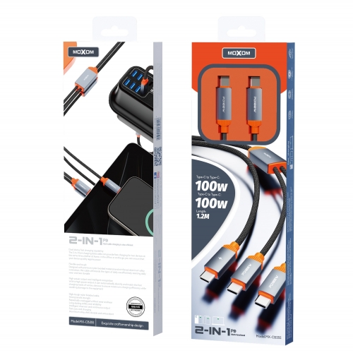 PD100W 2-in-1 Meteor Fast Charging Data Cable