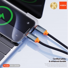 PD100W 2-in-1 Meteor Fast Charging Data Cable