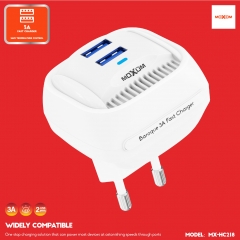 Baroque 3A Fast Charger