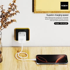 QC18W Lychee Fast Charger