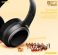 Starry Night Hi-Fi Wireless Headphone