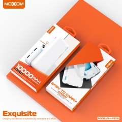 2 IN 1 LED 10000mAh Power Bank