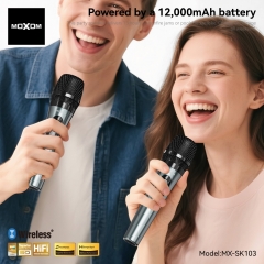 Airship Karaoke Party Wireless Loudspeaker