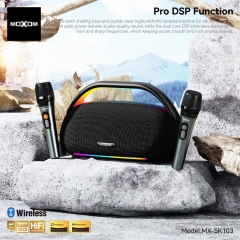 Airship Karaoke Party Wireless Loudspeaker