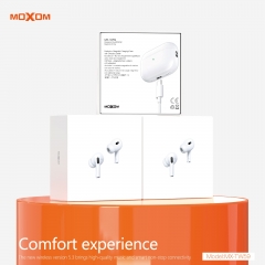 Spatial Audio TWS Wireless Earbuds