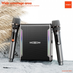 80W Soul Leader Outdoor Karaoke Speaker