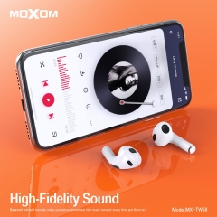 Hi-Fi Stereo TWS Wireless Earbuds