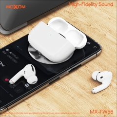 Hi-Fi Stereo TWS Wireless Earbuds