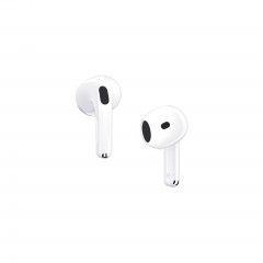 TWS Wireless Earbuds