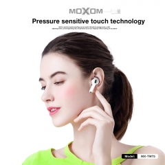 TWS Wireless Earbuds