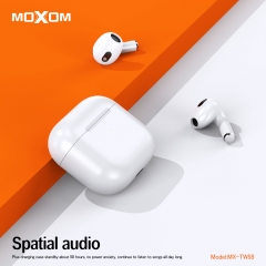 Hi-Fi Stereo TWS Wireless Earbuds